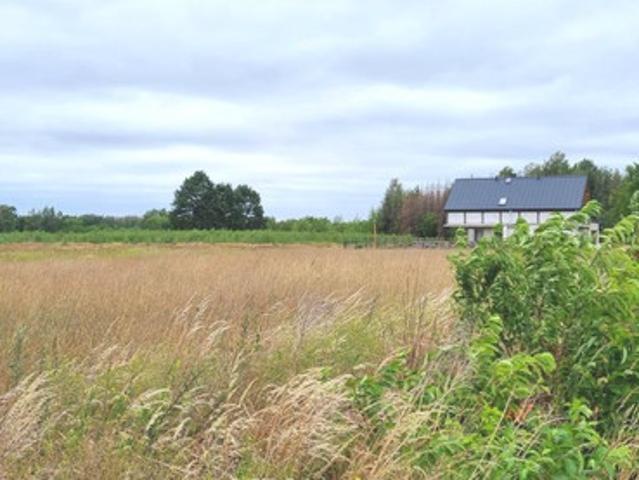 Grodziski, Milanówek