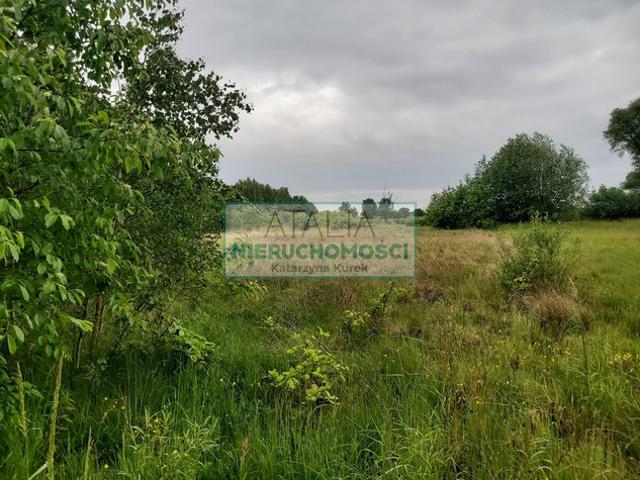 Grodziski, Milanówek
