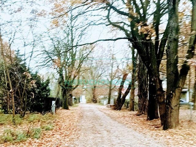 Grodziski, Milanówek