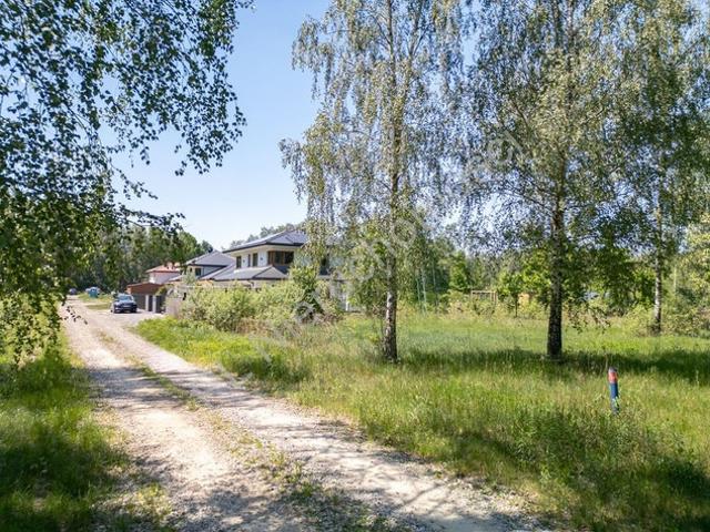 Grodziski, Radonie