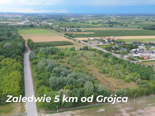 Grójecki, Grójec