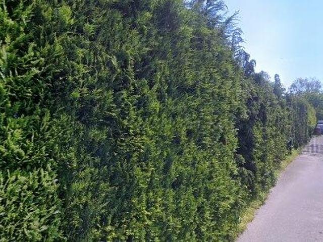 Grond te huur in Barneveld, Gelderland