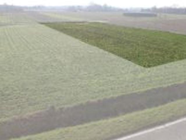 Grond te koop in Mater 9700