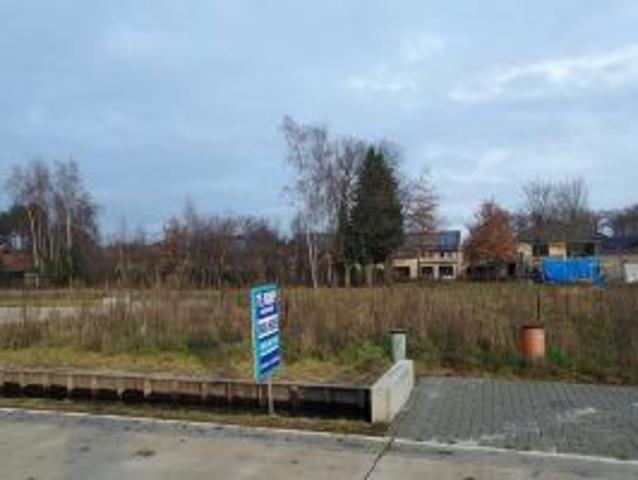 Grond te koop in Olmen 2491