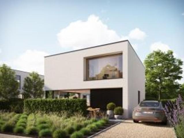 Grond te koop in Ophasselt 9500