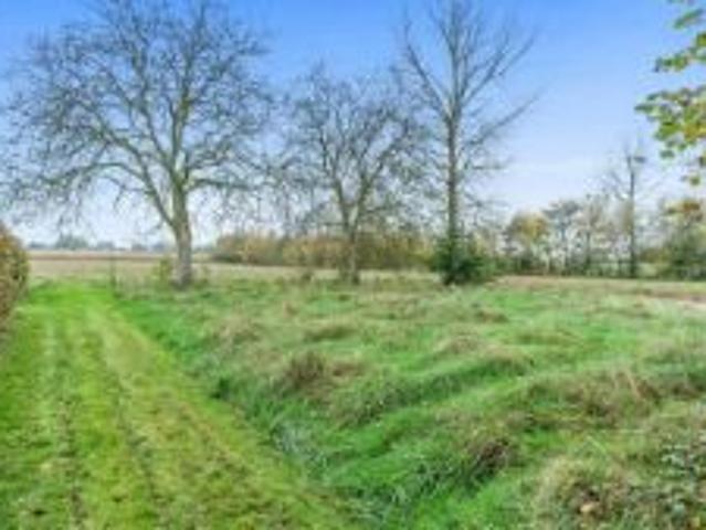 Grond met schuur op 20a en mogelijk weide