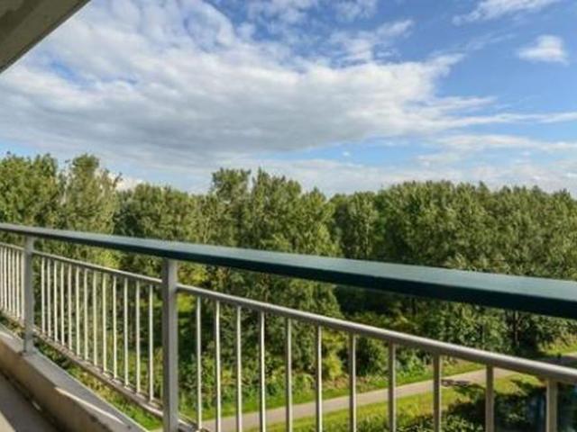 Groningensingel 6835 Arnhem