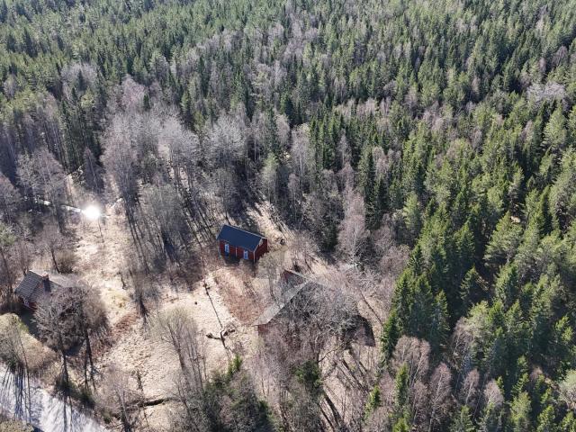 Grönsinka 2
