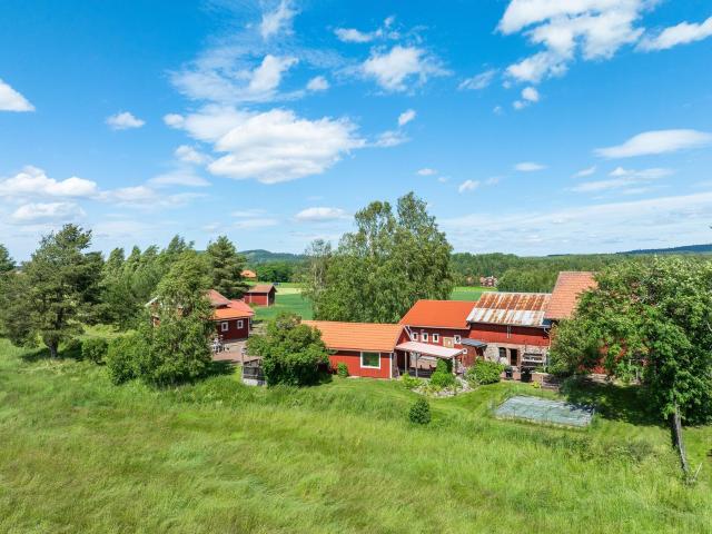 Gröntuv 236