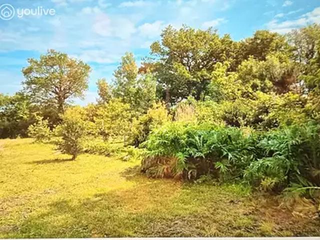 Grosbreuil 85440 Achat / Vente terrain