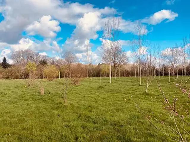Grosbreuil 85440 Achat / Vente terrain