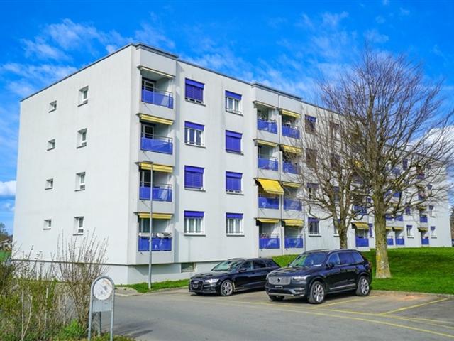 Großartige 3,5 Zimmer Wohnung, komplett renoviert