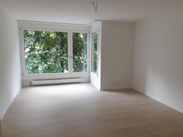 Grossbasel MFH Gasstrasse 66