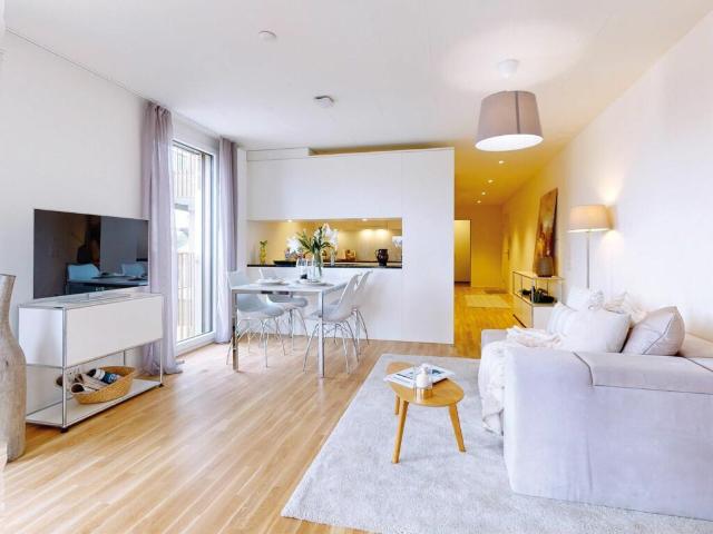 Grosse 1.5 Zimmerwohnung mit Galerie