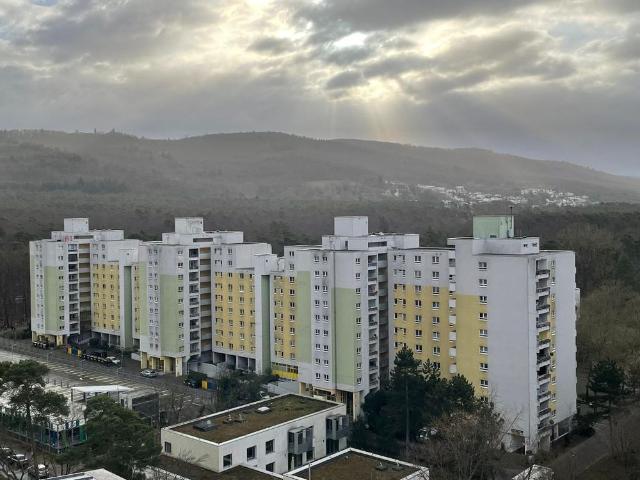 Große 4 Zimmer Wohnung in Eberstadt jetzt frei !