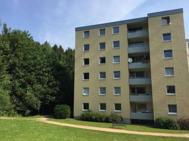 Große 4 Zimmer Wohnung mit Waldblick