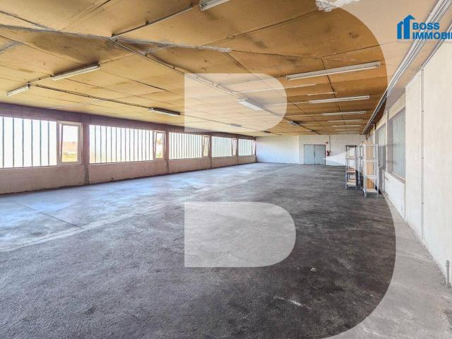 große Lagerfläche 330 m² Nutzfläche
