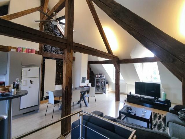 Grosse Maisonette Altstatt Wohnung mit 140m2