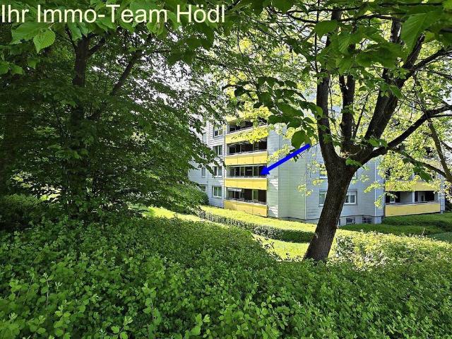 Große Wohnung mit Blick ins Grüne sucht neuen Eigentümer!