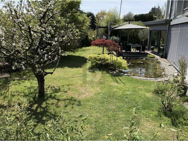 GROSSER GARTEN MIT NATURTEICH