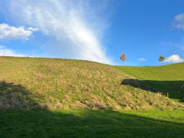 Großer sonniger Baugrund bei Gschwandt