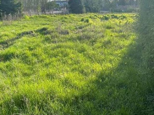 Großes Baugrundstück in Bestensee Ob Eigennutzung oder Investition Sie entscheiden!