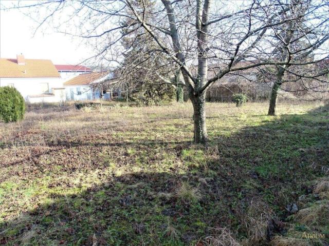 Großes Baugrundstück mit Altbestand in Mannswörth AUCH FÜR BAUTRÄGER GEEIGNET! 2.230m².
