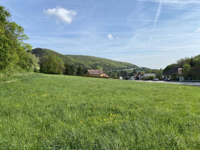 Großes Grundstück 4.267m² in Weissenbach/Hinterbrühl mit vielen Möglichkeiten!
