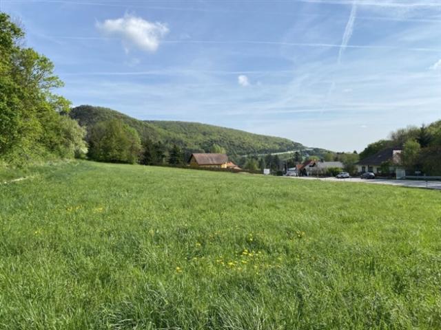 Großes Grundstück 4.267m² in Weissenbach/Hinterbrühl mit vielen Möglichkeiten!