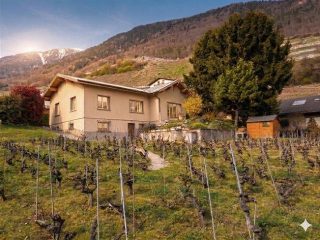 Großes Haus mit Garten in Martigny! Bauland!