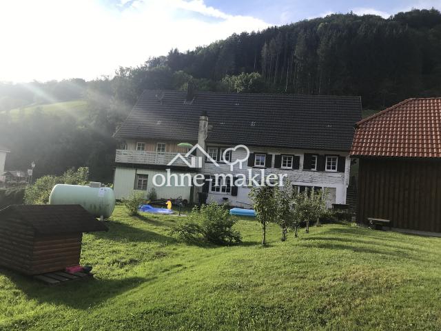Großes 2 FH Schwarzwaldhaus in Bad Peterstal Griesbach