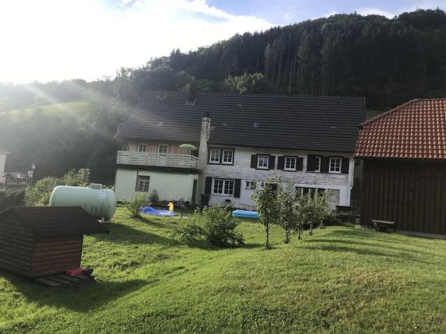 Großes 2 FH Schwarzwaldhaus in Bad Peterstal Griesbach