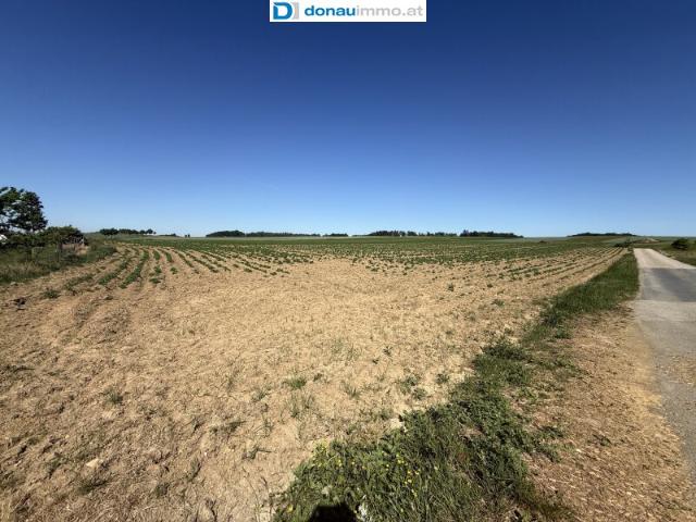 Großes 4500m² Betriebsgrundstück in Reinprechtspölla