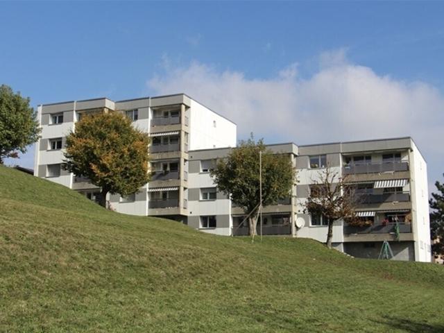 Grosses 4½ Zimmer Haus in Gehweite zu öffentlichen Verkehrsmitteln und Einkaufszentren