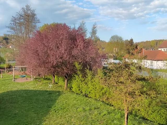 Großzügige 5 Zimmer Wohnung mit Schöckl Blick – modern saniert & zentral gelegen