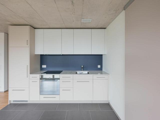 Grosszügige 3.5 Zimmer Wohnung im Lindenpark