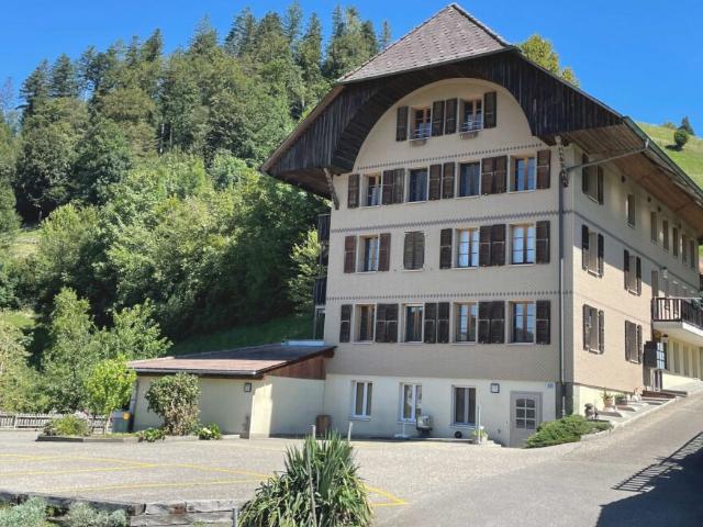 Grosszügige und charmante 1 Zimmer Wohnung
