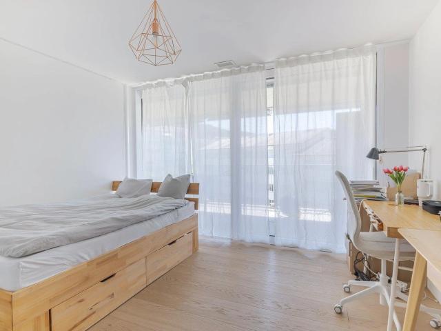 Grosszügige Attika Oase mit 117 m² Terrasse und Cheminée