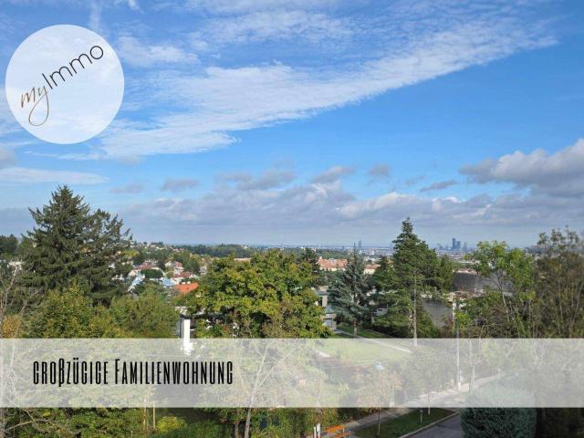 Großzügige Familienwohnung