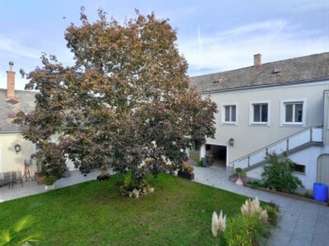 Großzügige, helle 4 Zimmerwohnung im Pallischhof TOP 3