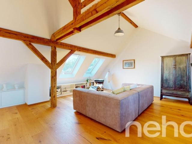 Grosszügige Maisonette Wohnung im Herzen von Basel