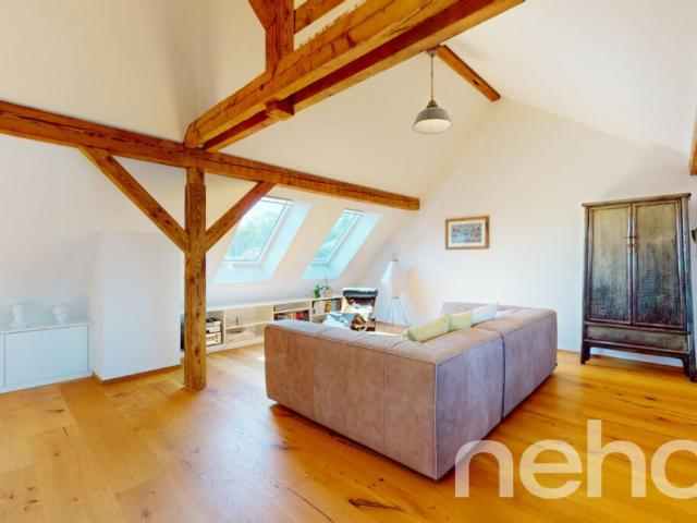 Grosszügige Maisonette Wohnung im Herzen von Basel