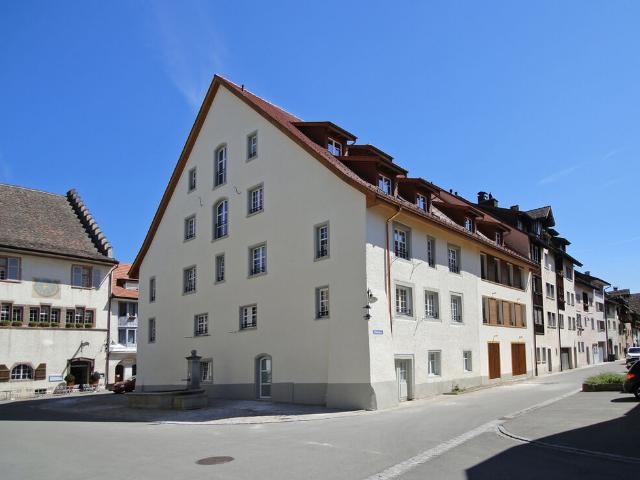Grosszügige, moderne Wohnung im Städtchen von Neunkirch