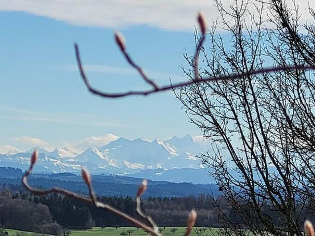 Grosszügiges 4.5 Zi EFH mit grosser Terrasse mit fantastischer Fernsicht bis zu den Alpen