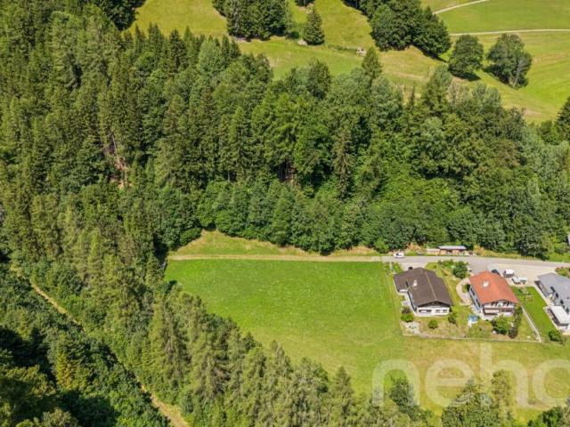 Grosszügiges Bauland mit Projektstudie an naturnaher Lage in Vättis