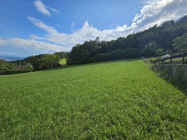 Großzügiges Grundstücksareal für Investoren, Bauträger, privaten Wohnbau