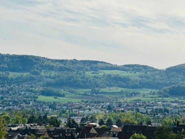 Grosszügiges EFH mit 2 Einliegerwohnungen, Parkplätzen, Weitsicht & Garten in Toplage