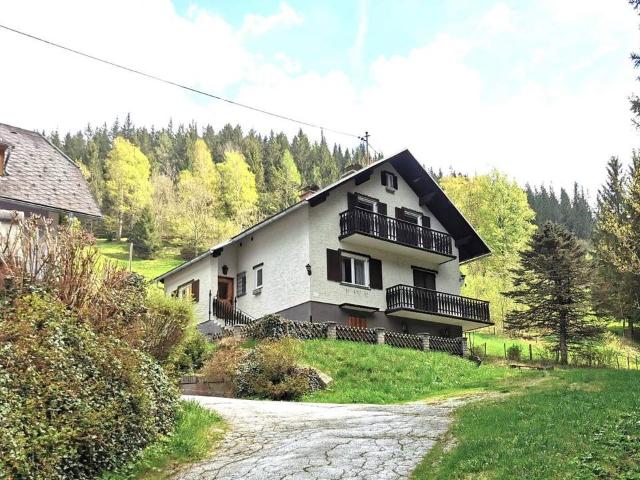Großzügiges Familien oder Ferienhaus im Grünen