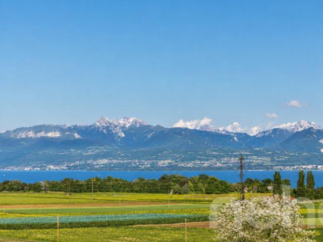 Großzügiges Haus mit spektakulärem Panorama über den See und die Alpen