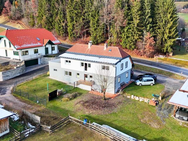 Großzügiges Haus mit zwei Wohneinheiten und Bergblick